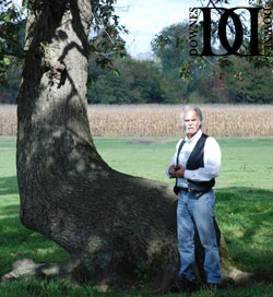 Indiana Trail Marker Tree